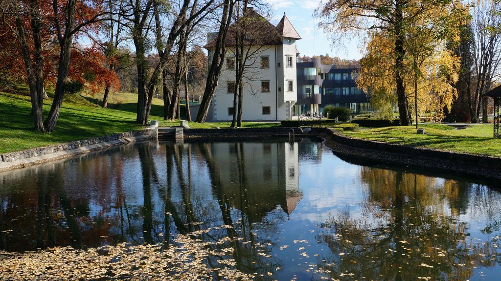 Lambergh Chateau & Hotel Dvorska Vas Dış mekan fotoğraf